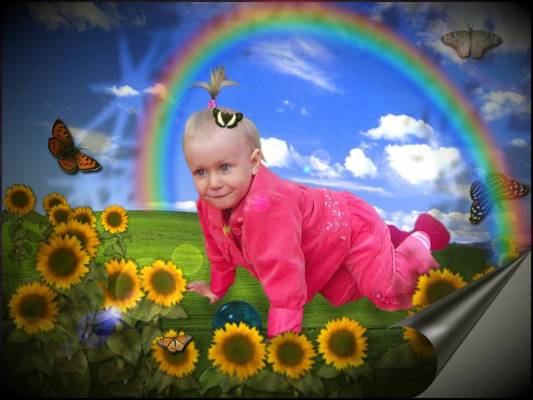 �������������