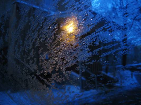 ������ ����