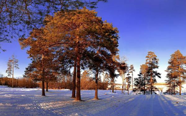 �������� ����