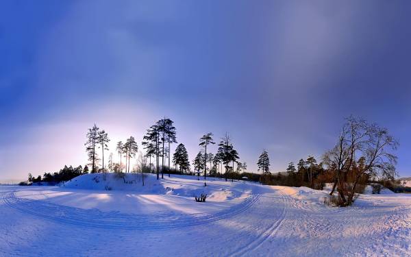 ������ ����