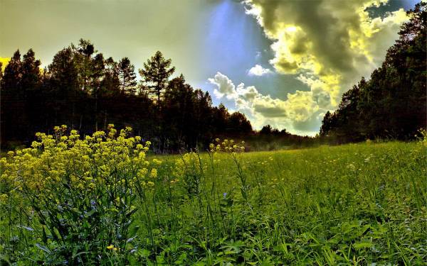 Ƹ���� �����