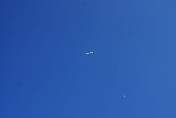 ������������ ����