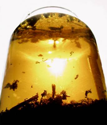 ��������� �����