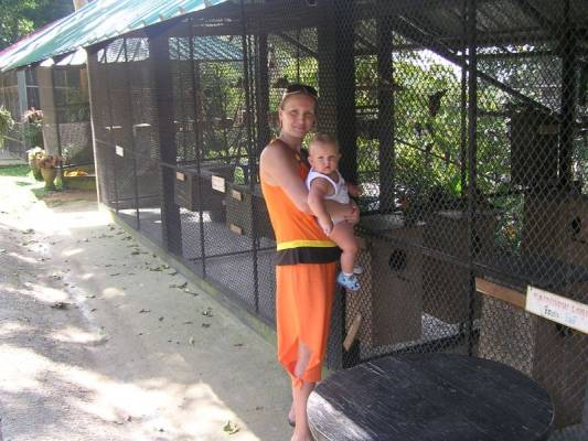 Paradise Park Farm