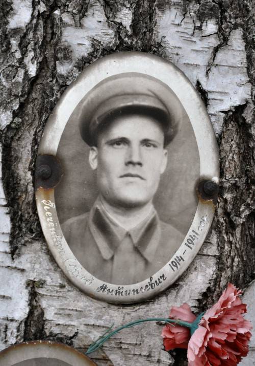 ������ ��������