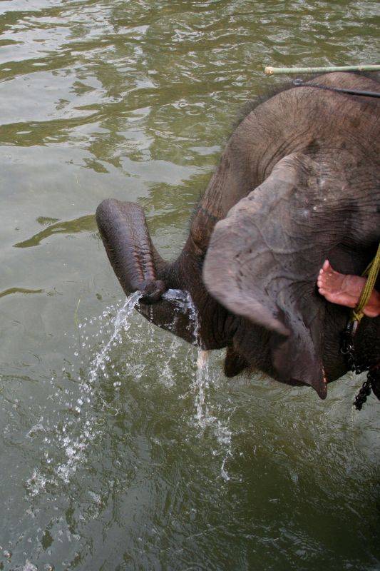 ���������� ������