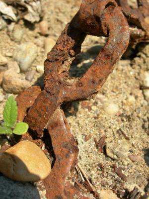 ��� ����