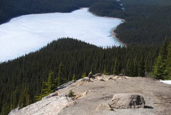 Peyto Lake