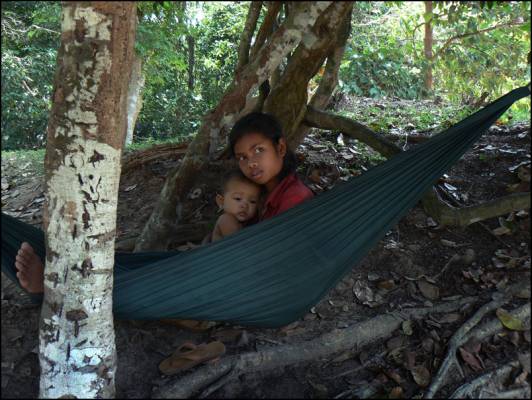 hammock