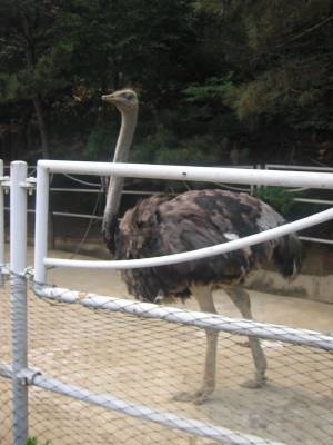 ��, ���, � � ��� ����!