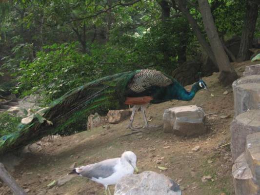 �� ���� �����