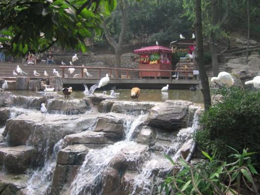 ����������