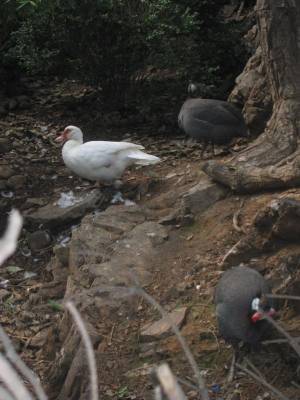 ��������� � ����: ����, ����