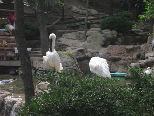 ������������