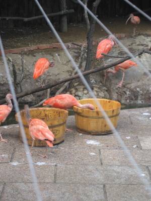 ���� �������? ���� ������!