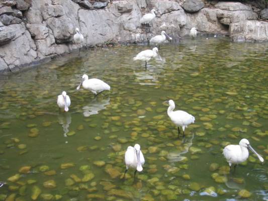 �������