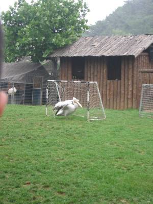 ���� �� ������ � ������!