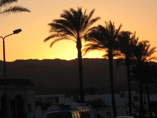 ����� ������...