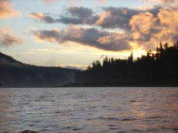 �����. ������� ���. ���� 2008. �������