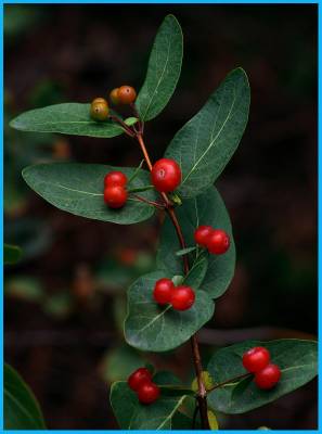 �� ���-���������� �������