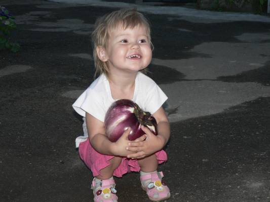 ���� � �����������