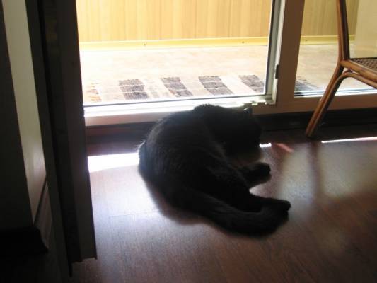 ����, ����, ��� �� �����!