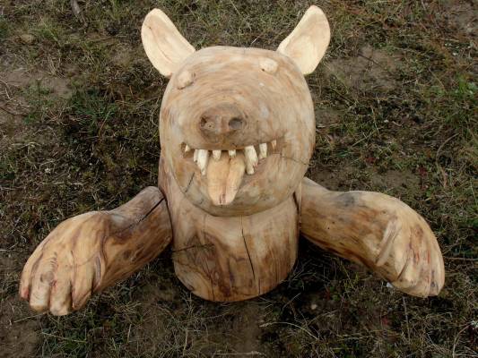 ���� ������ 2009 �.