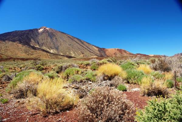 Teneriffe - unique island, defenetly recommend everyone to visit!!