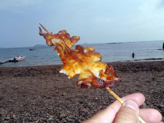 Шашлык из кальмара