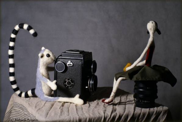 ����-����������