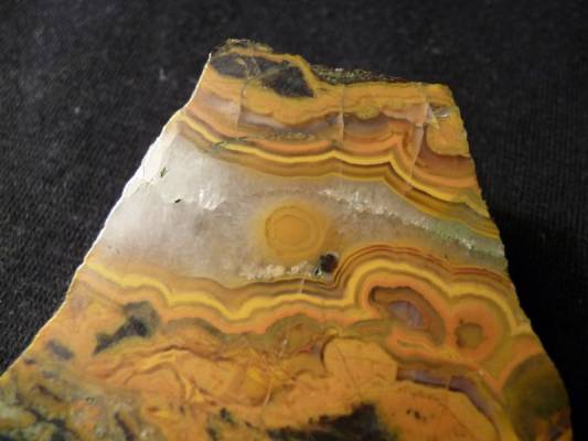 ����� ����