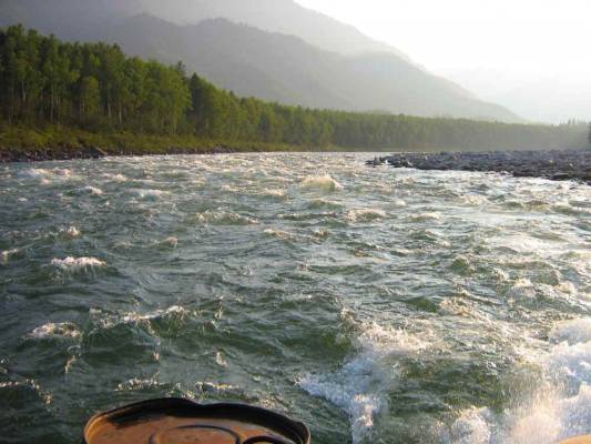 ���� �����