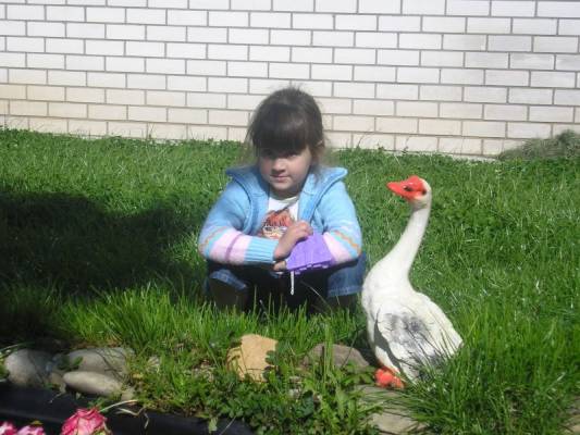 ����� � ����