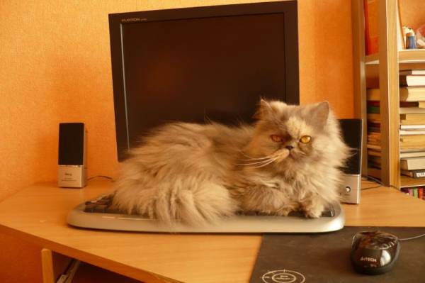 ���� � ��������