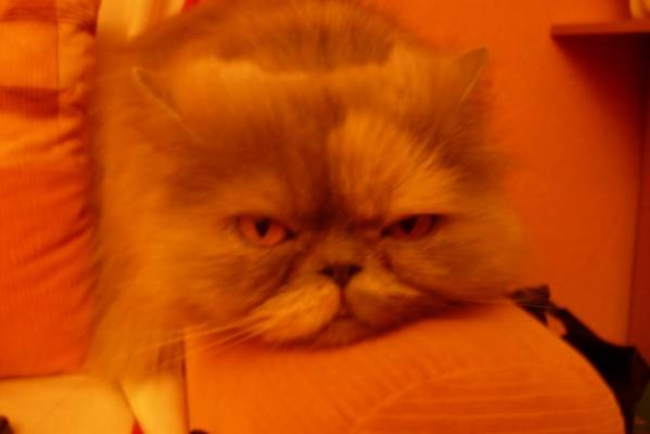 ������ �� ����