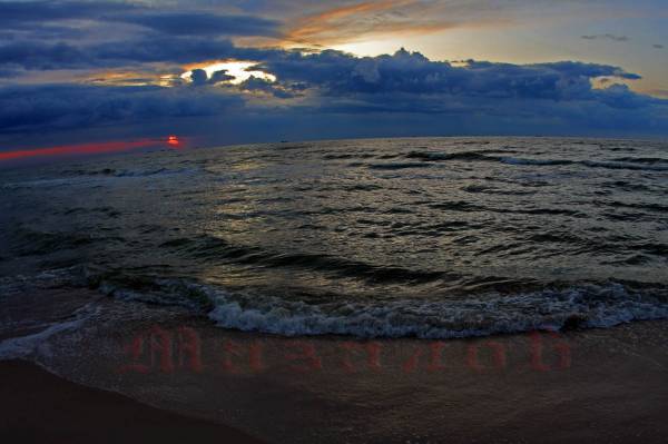 8745****       , ,,,,,,,,,,,,,