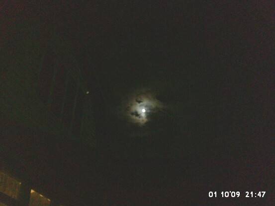 ������� ����������