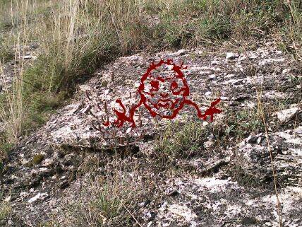 ���� �� �����