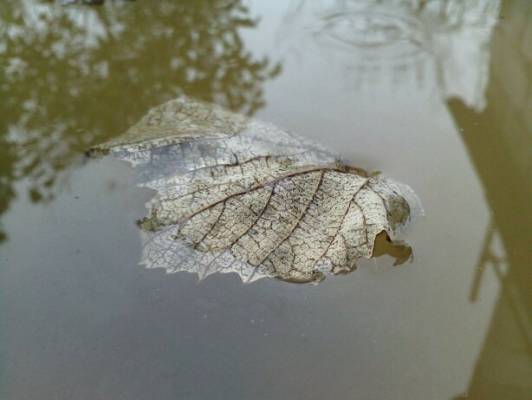 ���� �� ����