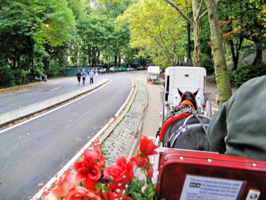 Central Park