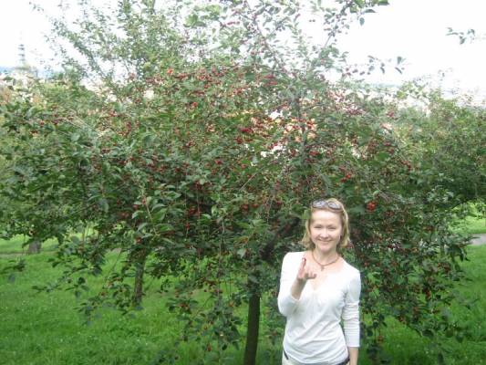 ����� �� ���������� ������