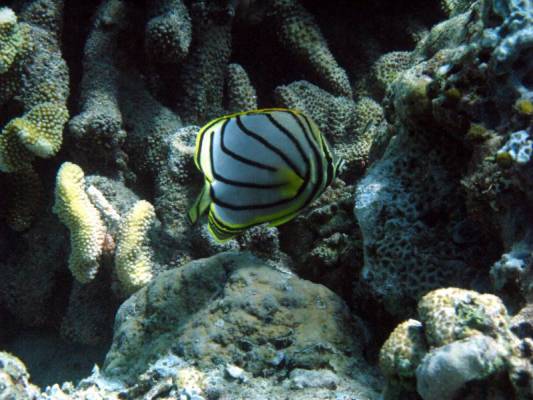 ����� �������!