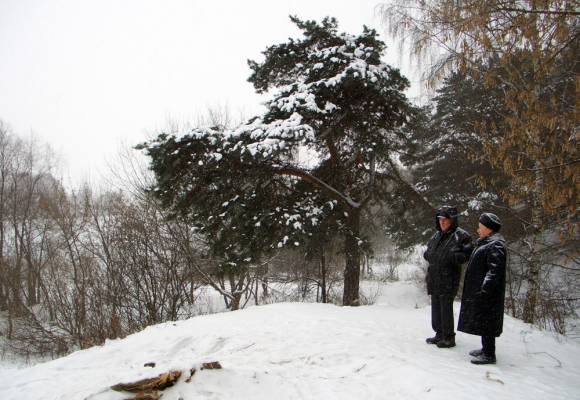 �� ������