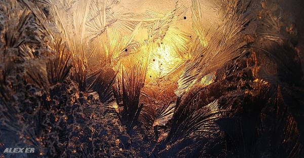 ˸� � �������