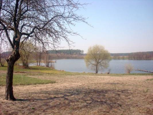 ������ � ����