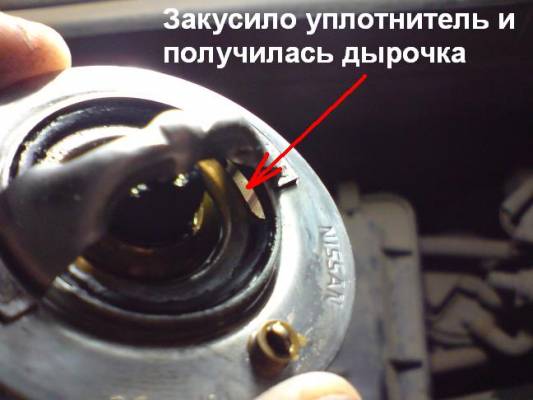 ����� � �����������