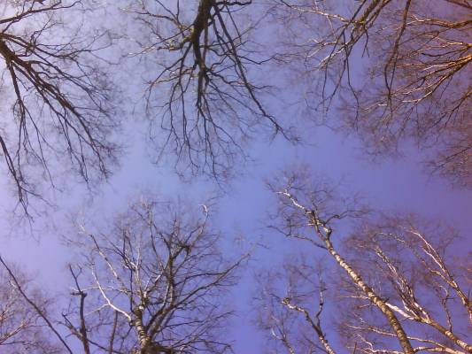 ����� ���� �������