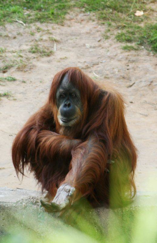 ���� �� �� �������... ������� ��� ������� �����....