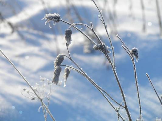 ������ ���