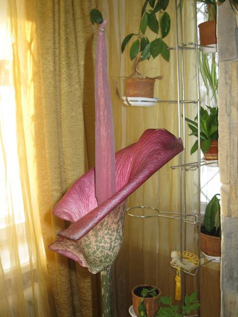 ������������ �������, ��� �� ������� �������, �� ��� ��� �������� )))